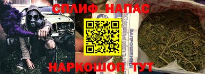 шишки Изобильный