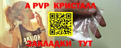 шишки Изобильный